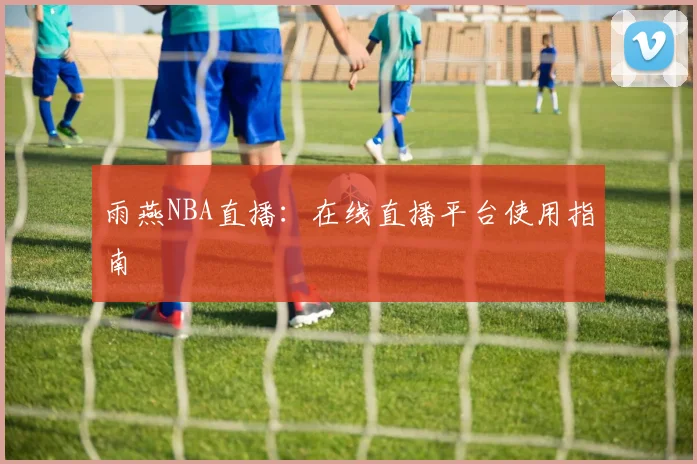 雨燕NBA直播：在线直播平台使用指南