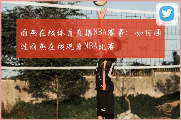 雨燕在线体育直播NBA赛事：如何通过雨燕在线观看NBA比赛