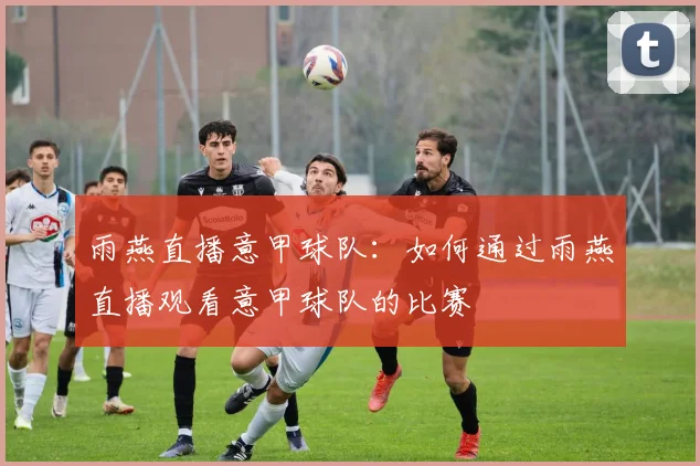 雨燕直播意甲球队：如何通过雨燕直播观看意甲球队的比赛