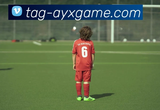 雨燕直播意甲球队：如何通过雨燕直播观看意甲球队的比赛